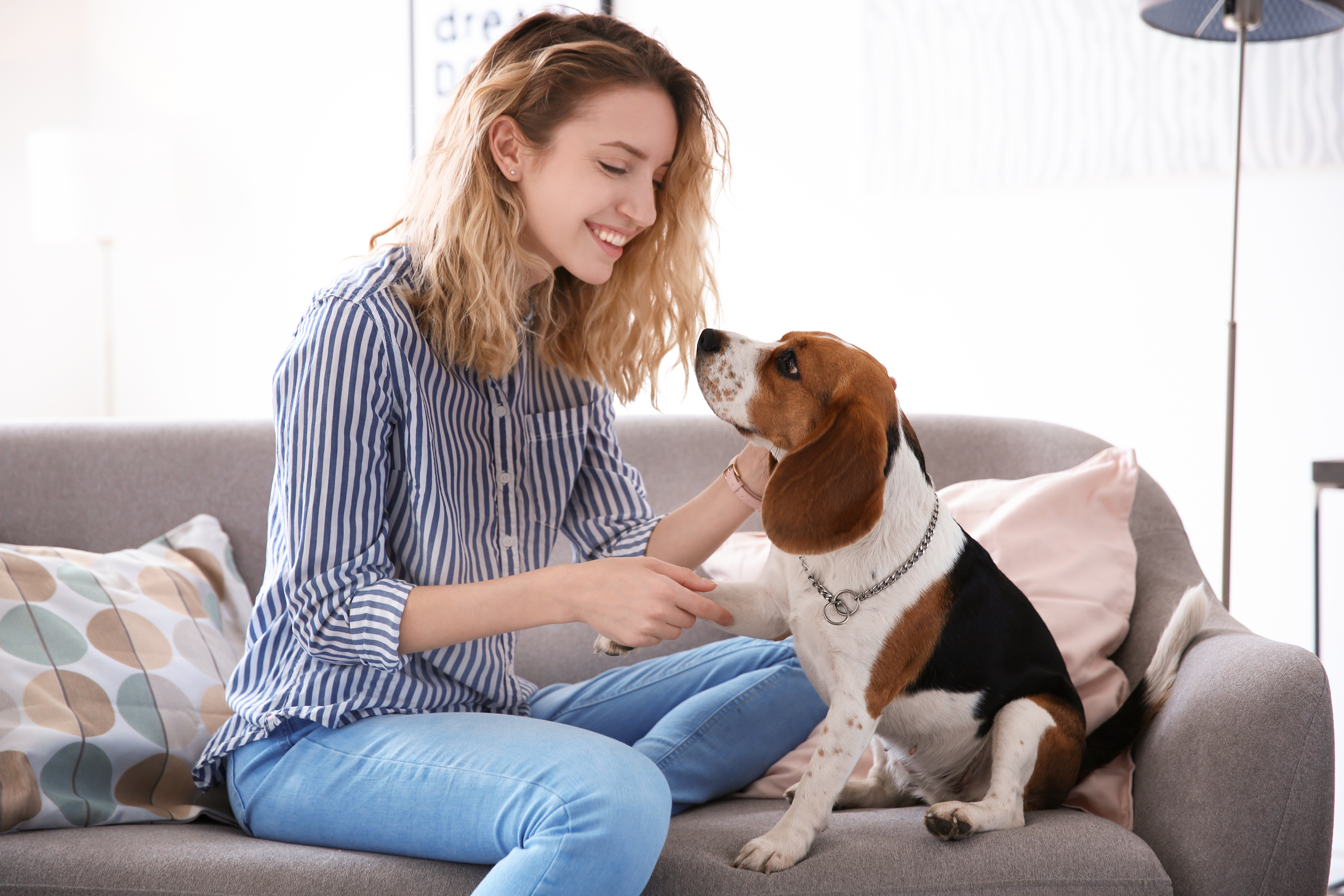 woman sitting on couch with dog