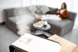 Indoor Air Quality Solutions: Enhancing Comfort and Health in Your Indianapolis Home | LCS Heating & Cooling